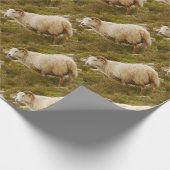 Cadeau Papier d'emballage de moutons islandais (Coin)