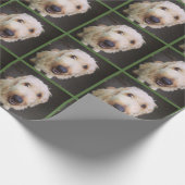 Cadeau Papier d'emballage de Murray (Coin)
