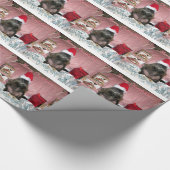 Cadeau Papier d'emballage de Noël de Moïse (Coin)