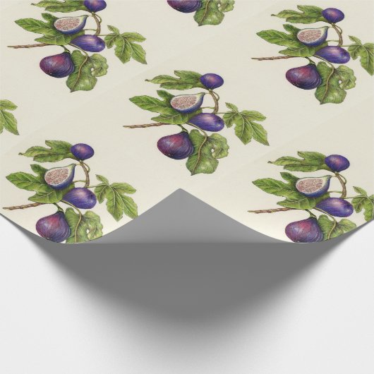 Cadeau Papier d'emballage de Noël d'impression de figue - (Coin)