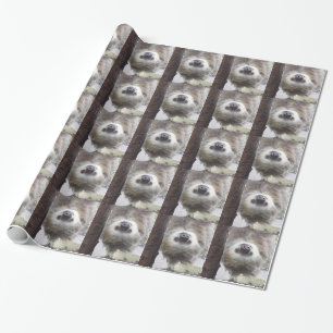 Cadeau Papier d'emballage de paresse