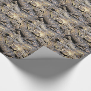 Cadeau Papier d'emballage de pile d'alligator