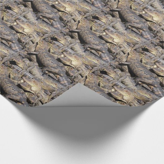 Cadeau Papier d'emballage de pile d'alligator (Coin)