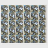 Cadeau Papier d'emballage de singe (Plat)