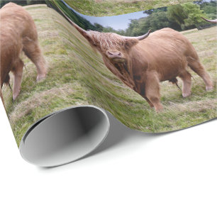 Cadeau Papier d'emballage de vache des montagnes