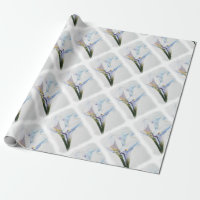 PAPIER D'EMBALLAGE DE ZANTEDESCHIAS BLANCS
