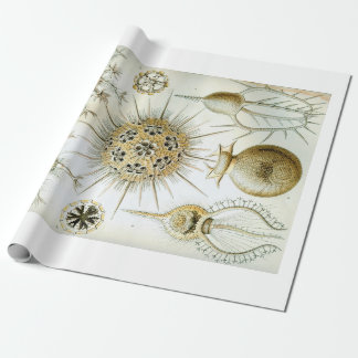 Cadeau Papier d'emballage d'Ernst Haeckel Phaeodaria