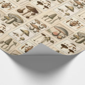 Cadeau Papier d'emballage d'impression botaniques (Coin)