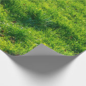 Cadeau Papier d'emballage d'impression d'herbe verte (Coin)