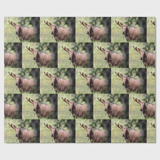 Cadeau papier d'emballage d'orignal (Plat)