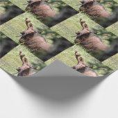 Cadeau papier d'emballage d'orignal (Coin)