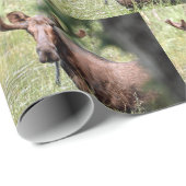 Cadeau papier d'emballage d'orignal (Coin rond)