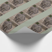 Cadeau Papier d'emballage Éléphant de bébé (Coin)