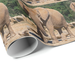 Cadeau Papier d'emballage Éléphant de savane