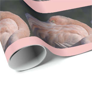 Cadeau Papier d'emballage flamant rose dormant