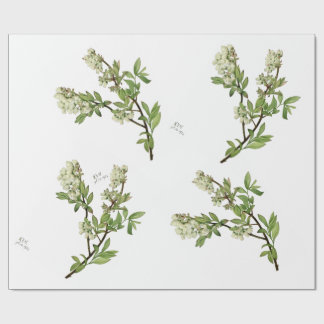 Cadeau Papier d'emballage fleur de myrtille