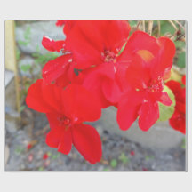 Papier d'emballage Fleur sauvage