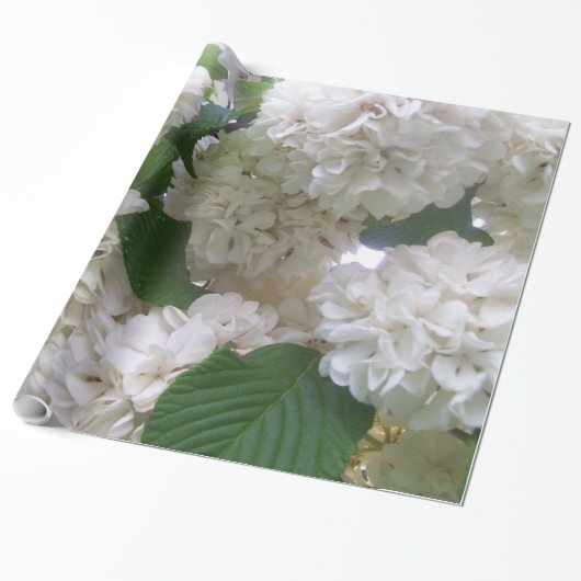 Cadeau Papier d'emballage - Hydrangée blanche (Déroulé)