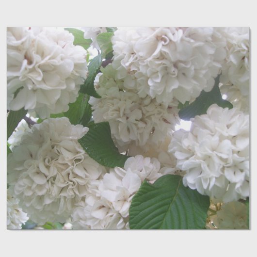 Cadeau Papier d'emballage - Hydrangée blanche (Plat)