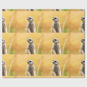 Cadeau Papier d'emballage mignon de Meerkat