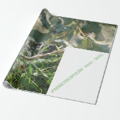 Cadeau Papier d'emballage/MMETROPOLIMdesign (Déroulé)