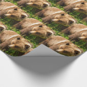 Cadeau Papier d'emballage Ours Grizzly Kodiak (Coin)