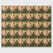 Cadeau Papier d'emballage Ours Grizzly Kodiak (Plat)