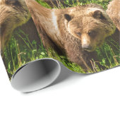 Cadeau Papier d'emballage Ours Grizzly Kodiak (Coin rond)