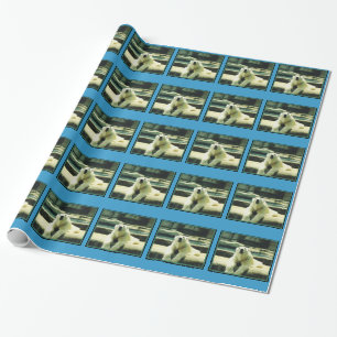 Cadeau Papier d'emballage Ours Polaire