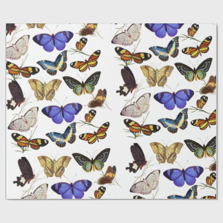 Cadeau Papier d'emballage Papillons