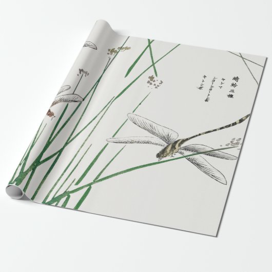 Cadeau Papier d'emballage PERSONNALISABLE de MOUCHE (Déroulé)