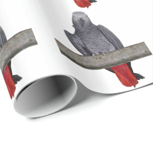 Cadeau Papier d'emballage Polly