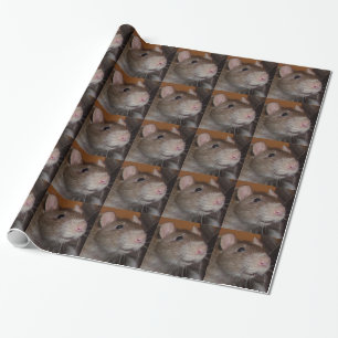 Cadeau papier d'emballage riant de rat