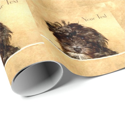Cadeau Papier d'emballage Schnoodle (Coin rond)