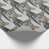 Cadeau Papier d'emballage Skittles le Chat (Coin)