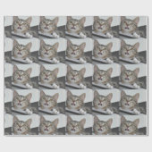 Cadeau Papier d'emballage Skittles le Chat (Plat)