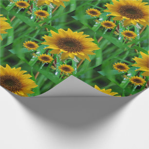 Cadeau Papier d'emballage Tournesol