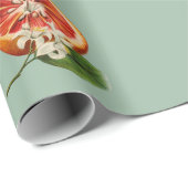 Cadeau Papier d'emballage vintage pour agrumes (Coin rond)