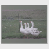 Cadeau Papier d'enlèvement de canard (Plat)