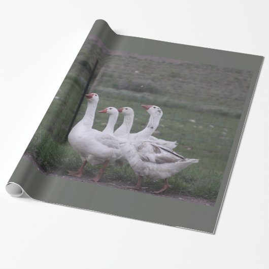 Cadeau Papier d'enlèvement de canard (Déroulé)