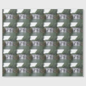 Cadeau Papier d'enlèvement de cascade (Plat)