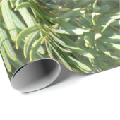 Cadeau Papier d'enlèvement de la forêt de pins (Coin rond)