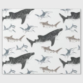 Cadeau Papier d'enlèvement de requin (Plat)
