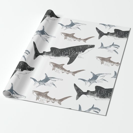 Cadeau Papier d'enlèvement de requin (Déroulé)