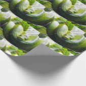 Cadeau Papier d'enlèvement de serpent vert (Coin)