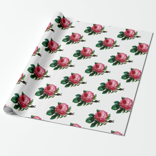 Cadeau Papier d'enlèvement Rose de chou (Déroulé)