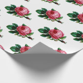 Cadeau Papier d'enlèvement Rose de chou (Coin)