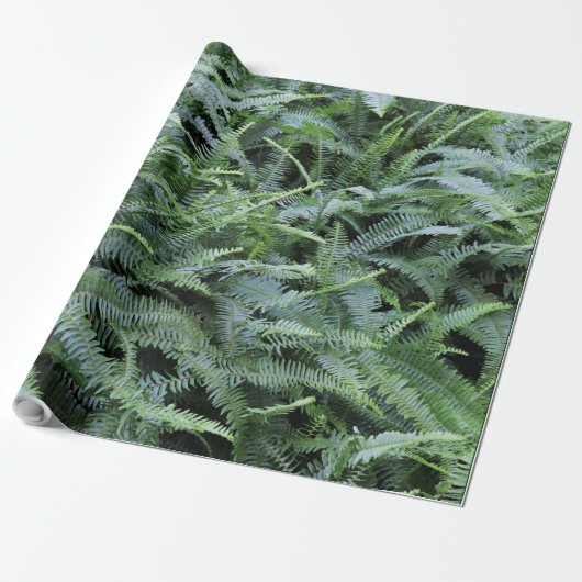 Cadeau Papier d'enrobage (Déroulé)