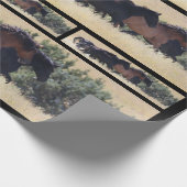 Cadeau Papier d'enrobage de boustangs de blanchiment (Coin)