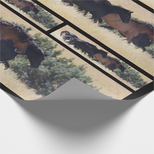 Cadeau Papier d'enrobage de boustangs de blanchiment (Coin)